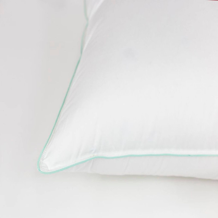 Подушка пуховая 50х70 с внутренним ядром Aloe Vera Down