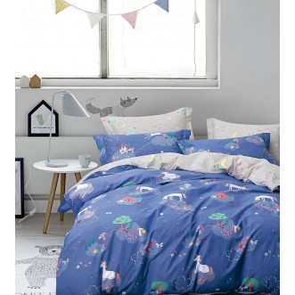 Постельное белье сатин TS01-X71 1/5 спальное Tango