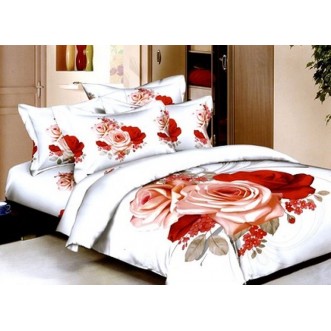 Постельное белье сатин TS02-062 2 спальное Tango