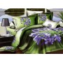 Постельное белье сатин TS02-031 2 спальное Tango