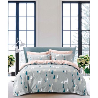 Постельное белье сатин TS02-X55 2 спальное Tango