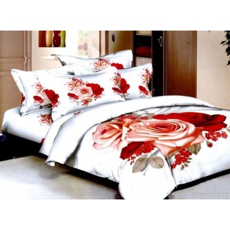 Постельное белье сатин TS03-062 евро Tango