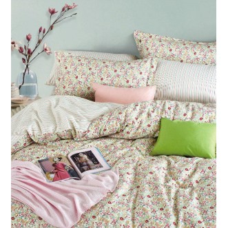 Постельное белье сатин TS03-X49 евро Tango