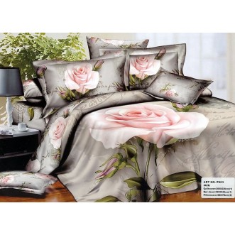 Постельное белье сатин TS03-973 евро Tango