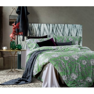 Постельное белье египетский хлопок TIS07-122 евро Tango