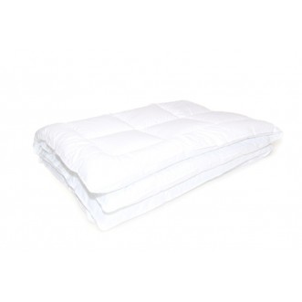 Купить одеяло Бамбук классическое белое Евро Сайлид  