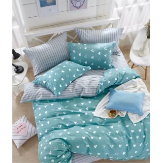 Купить постельное белье твил TPIG4-742 1/5 спальное Tango