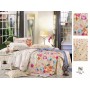 Постельное белье Поплин 2 спальное П-32 Valtery
