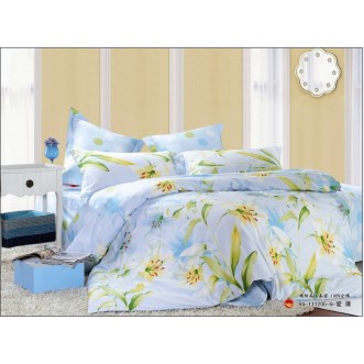 Постельное белье Поплин 2 спальное П-33 Valtery