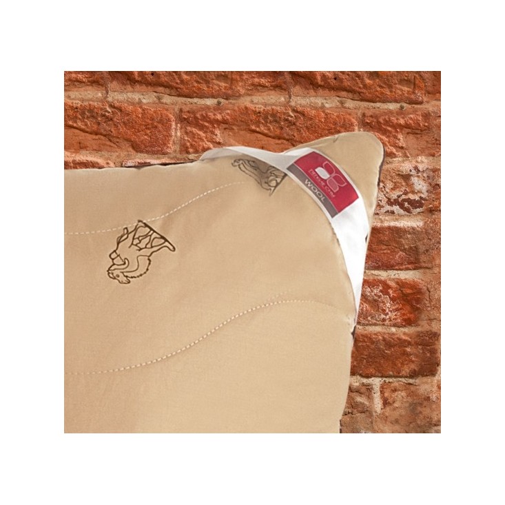 Подушка Верби 70x70 Легкие сны