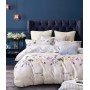 Купить постельное белье твил TPIG5-680 семейный дуэт Tango