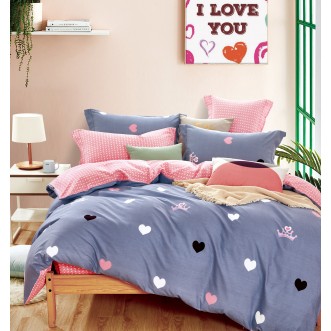 Купить постельное белье твил TPIG2-772 2 спальное Tango