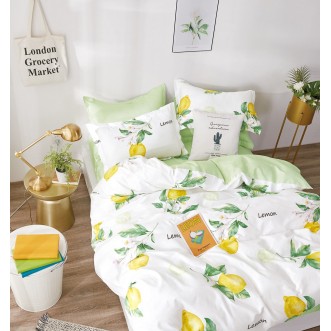 Купить постельное белье твил TPIG4-1024 1/5 спальное Tango