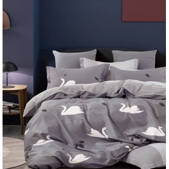 Купить постельное белье твил TPIG6-916 евро Tango