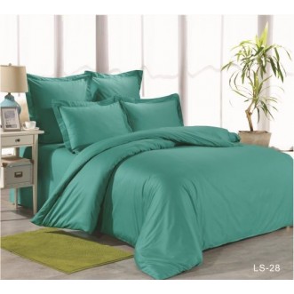 Постельное белье евро сатин Вальтери LS-28