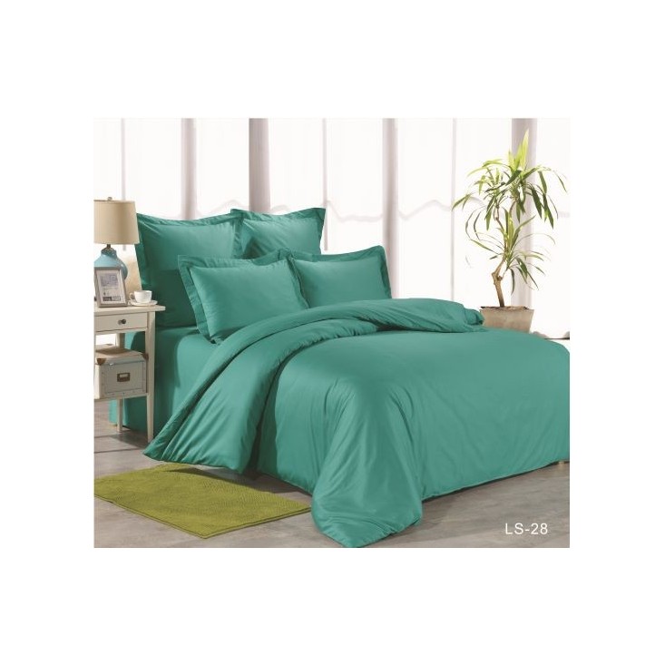 Постельное белье евро сатин Вальтери LS-28