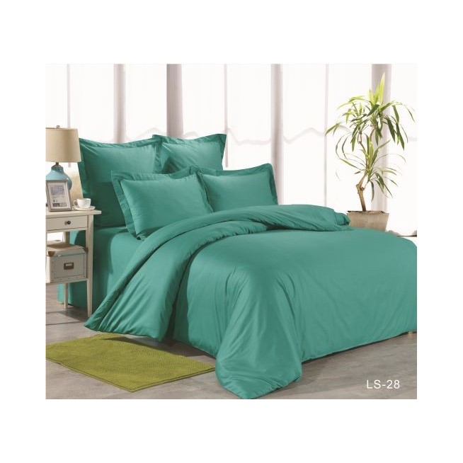 Постельное белье евро сатин Вальтери LS-28