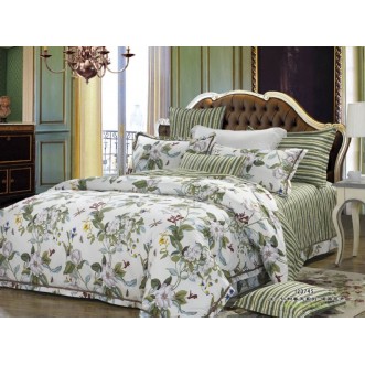 Постельное белье 2 спальное сатин Вальтери CL-160