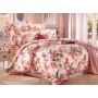 Постельное белье семейное сатин Вальтери CL-197