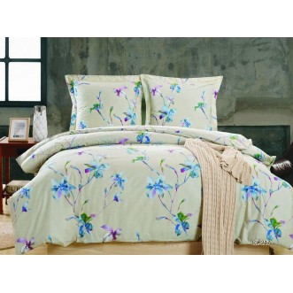 Постельное белье 2 спальное сатин Вальтери CL-217