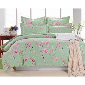 Постельное белье 2 спальное сатин Вальтери CL-219