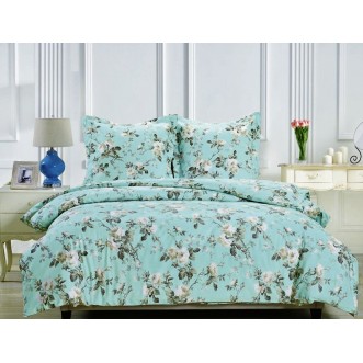 Постельное белье 2 спальное сатин Вальтери CL-222