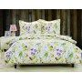 Постельное белье семейное сатин Вальтери CL-223