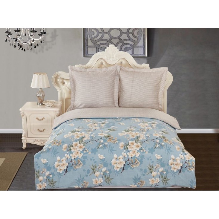 Постельное белье 2 спальное сатин Вальтери CL-261