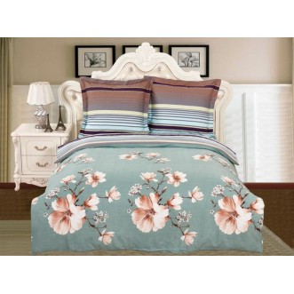 Постельное белье 2 спальное сатин Вальтери CL-275