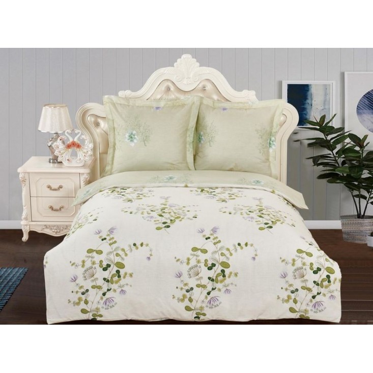 Постельное белье 2 спальное сатин Вальтери CL-277