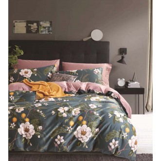 Купить постельное белье египетский хлопок TIS07-183 евро Tango