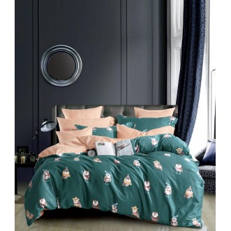Купить постельное белье египетский хлопок TIS04-185 1.5 спальное Tango