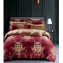 Купить постельное белье египетский хлопок TIS05-170 семейное Tango