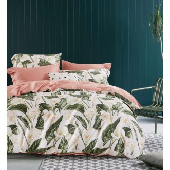 Купить постельное белье египетский хлопок TIS05-181 семейное Tango
