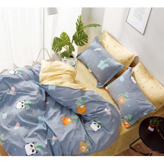 Купить постельное белье твил TPIG4-1070 1/5 спальное Tango