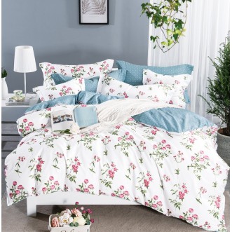 Постельное белье евро сатин Tango TS04-X124