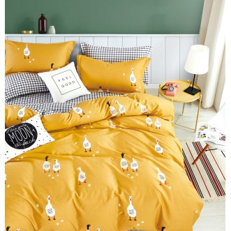 Постельное белье 1/5 спальное сатин TS01-X111 Tango