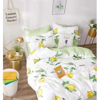 Купить постельное белье твил TPIG3-1024 евро Tango