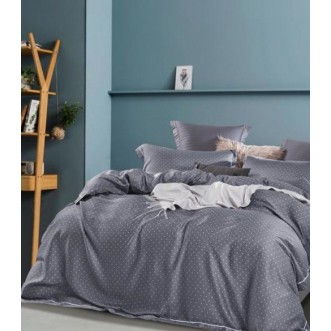 Постельное белье Тенсел TT6-93 евро Tango