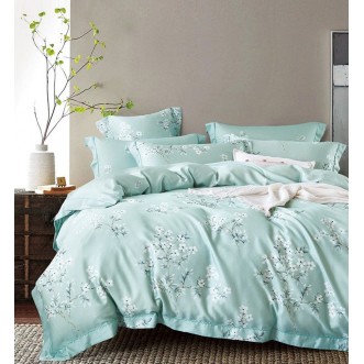 Постельное белье Тенсел TT6-88 евро Tango