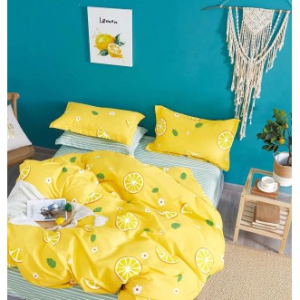 Купить постельное белье твил TPIG2-1140 2 спальное Tango