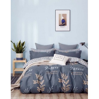 Постельное белье 2 спальное твил Tango TPIG2-1144