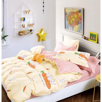 Постельное белье 1,5-спальное твил Tango TPIG4-1135