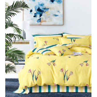 Купить Постельное белье 2 спальное твил Tango TPIG2-1218