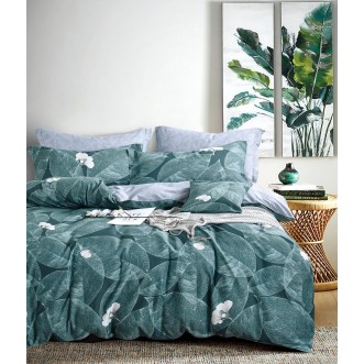 Купить Постельное белье 2 спальное твил Tango TPIG2-1224