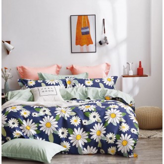 Купить постельное белье твил TPIG6-1206 евро Tango