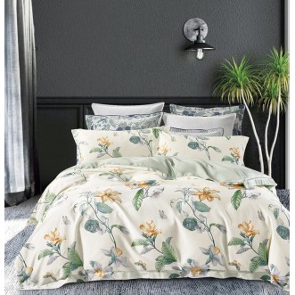 Купить постельное белье египетский хлопок TIS07-197 евро Tango