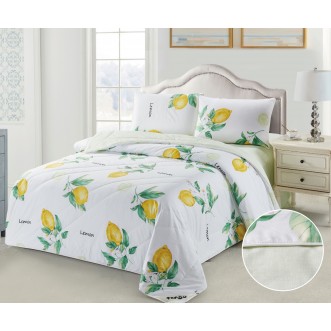 Постельное белье евро твил с одеялом Tango W400-23