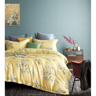 Постельное белье Тенсел TT6-97 евро Tango