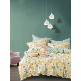 Купить постельное белье твил TPIG2-1254 2 спальное Tango